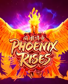 Phoenix Rises